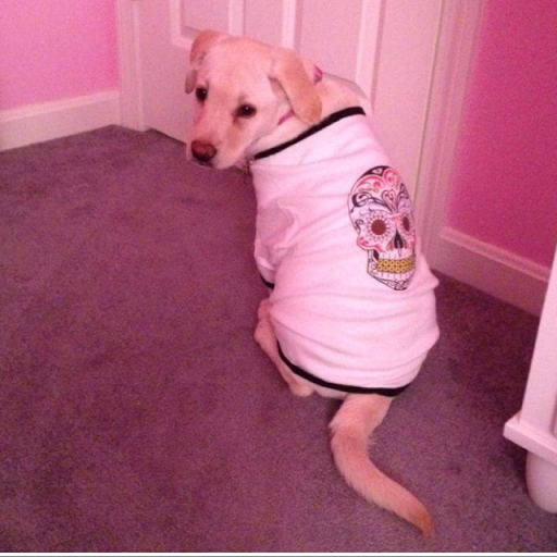 Colleen Hanson Photo 21