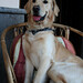 Frances Frech Photo 11