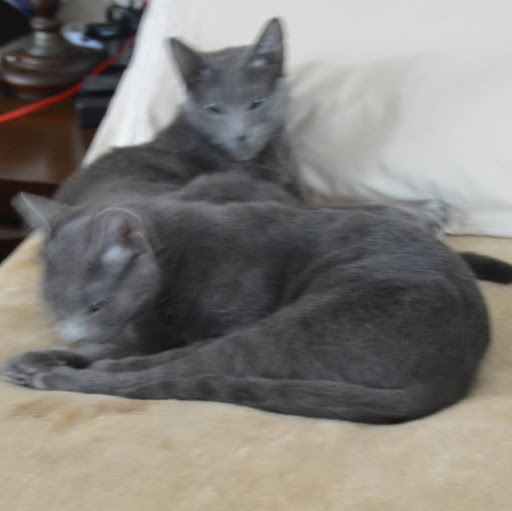 Jason Marquez Photo 20