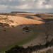 Dale Wells Photo 8
