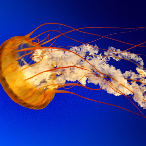 Bobby Long Photo 34 Bobby Long Photo 34