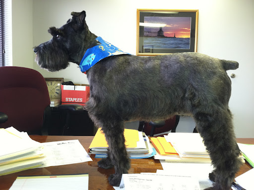 Bryan Cochran Photo 15