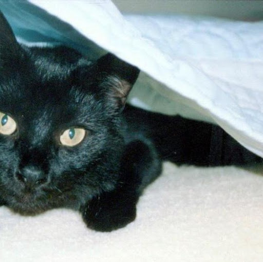 Janice Bond Photo 16