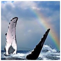 Cheri Pierce Photo 13