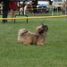 Christine Nash Photo 45
