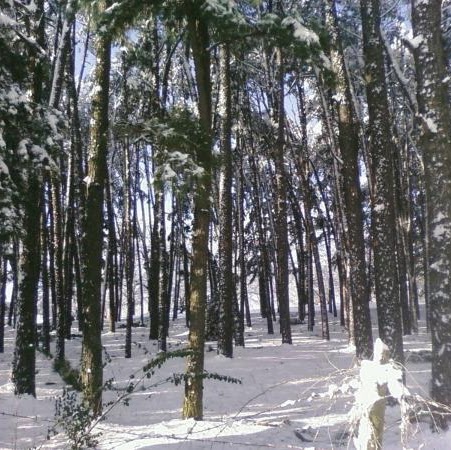 Robin Coker Photo 17