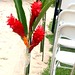 Jill Bloom Photo 34