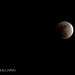 Shawn Sullivan Photo 27