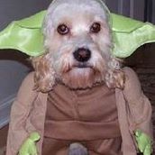 Brandon Whitt Photo 33