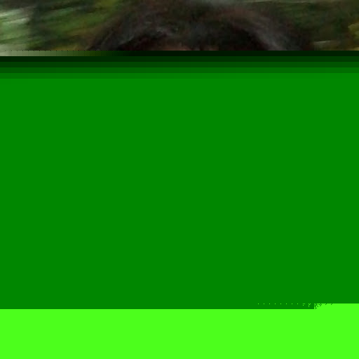 Rochelle Ward Photo 14