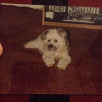 Shirley Varney Photo 2