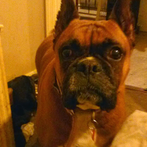 Sandra Reynolds Photo 26 Sandra Reynolds Photo 26