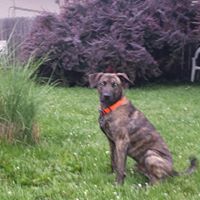 Bridget Bruce Photo 8