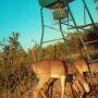Patty Hopper Photo 10
