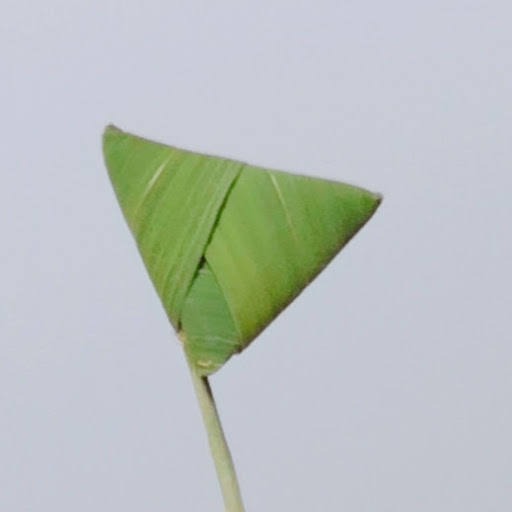 Samuel Wu Photo 37