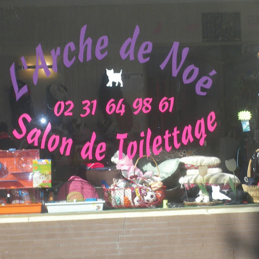 Corine Lucas Photo 21