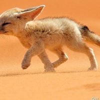 Daniel Jiang Photo 19