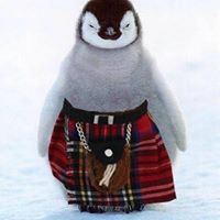 Vicki Greene Photo 20