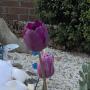 Janet Gregory Photo 22