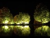Mark Schafer Photo 10