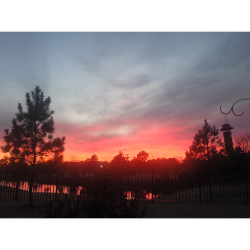 Dorothy Osborne Photo 30