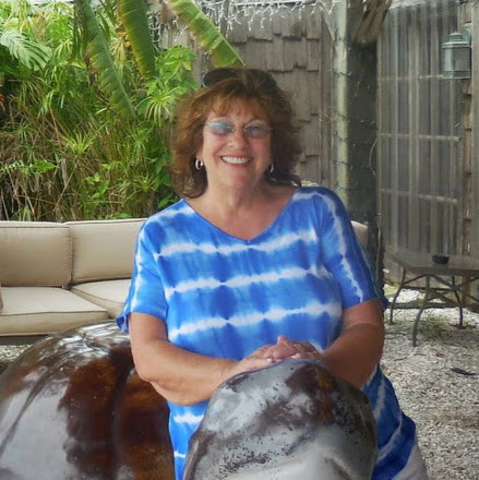 Susan Vargo Photo 27