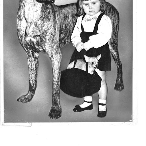 Beverly Rich Photo 8 Beverly Rich Photo 8