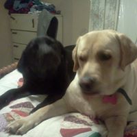 Michelle Will Photo 38