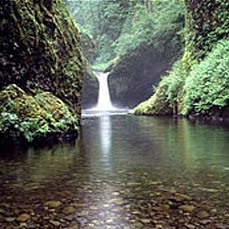 Carol Fitzgerald Photo 32