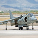 Douglas Hawk Photo 21