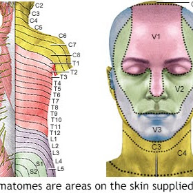 Betty Ramos Photo 37