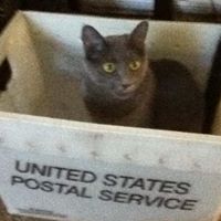 Terry Walker Photo 22 Terry Walker Photo 22