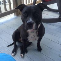 Bruce Kirby Photo 16