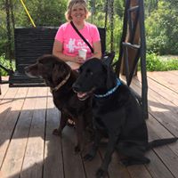 Julie Jewell Photo 24