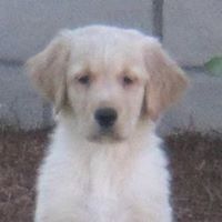 Robert Fredrickson Photo 27