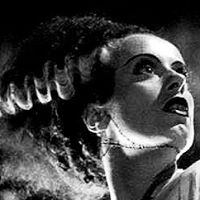 Deborah Gillespie Photo 9