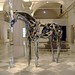Deborah Holzer Photo 4