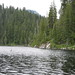 Dorothy Camp Photo 19