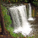 Bruce Beavers Photo 16