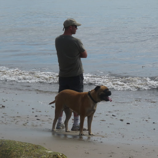 Gerard Nolan Photo 16