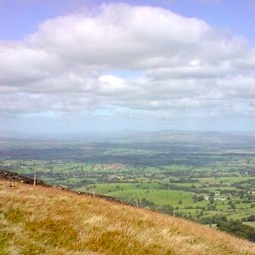 Brenda Evans Photo 26