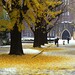 Han Huang Photo 13