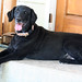 Heather Summers Photo 29