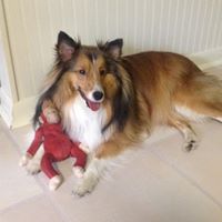 Roger Jennings Photo 29