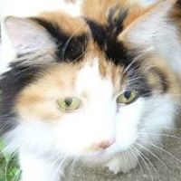 Deborah Kiley Photo 20 Deborah Kiley Photo 20