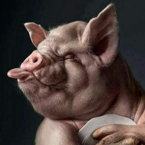 Kelly Durham Photo 14