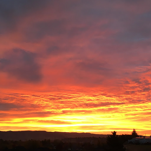 Jacob Powell Photo 21