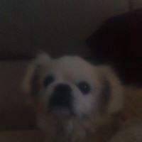 Doris Conklin Photo 8