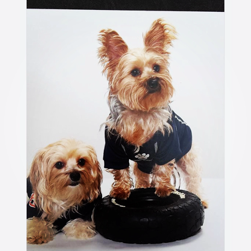 Kathy Albritton Photo 2