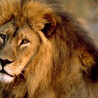 Randy Keiser Photo 4